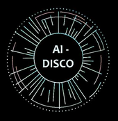 AI-DISCO