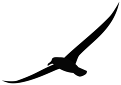 Albatross – Applications for Lifelong Based Algorithms Targeting Robust Optimization on Sustainable Settings