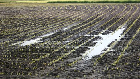 SOILAssist