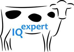 IQexpert – Use of innovative data analysis and artificial intelligence for udder health management, incorporating the latest research approaches in bulk milk analysis and image-based animal identification
