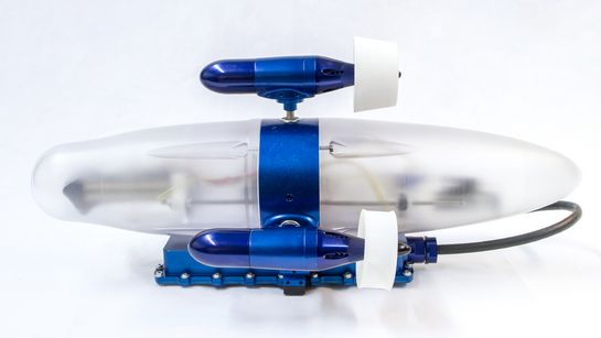daedalus3.jpg