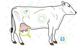csm_IQexpert_8005a6d363.png