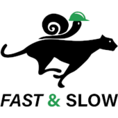 Fast&Slow – Combination of Symbolic and Subsymbolic Methods