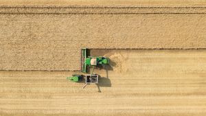 Yield Consortium: Agriculture and remote sensing from space