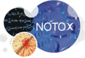 NOTOX