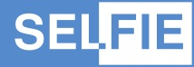 SELFIE – Selbstverifikation von Elektronischen Systemen